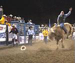 Mountain and cowboy culture meet in Jackson hole