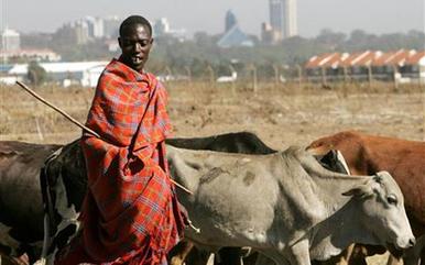 Seeking a better way for African farmers to fight a Fever