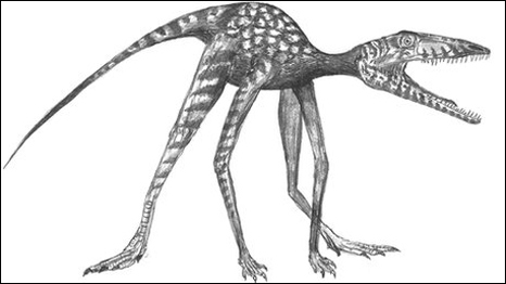 Oldest Dinosaur Fossils Found 恐龍化石新發(fā)現(xiàn)