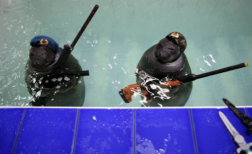 俄羅斯勝利日海豹也閱兵