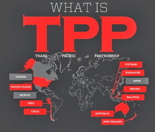 什么是“TPP”？