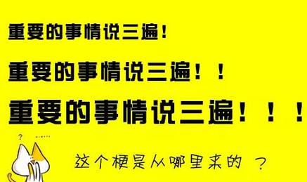 2015年流行語和它們的英文翻譯~