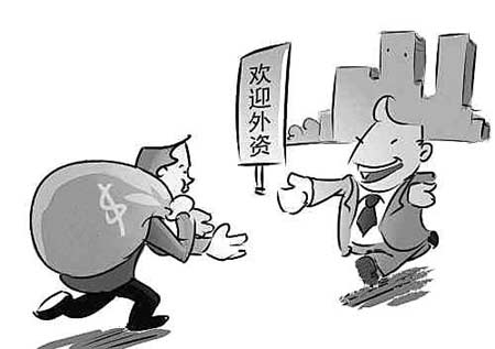 FDI 外國(guó)直接投資