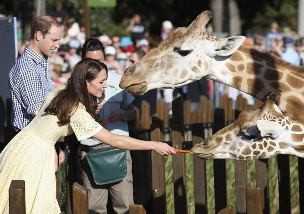 威廉凱特帶喬治小王子游悉尼野生動物園