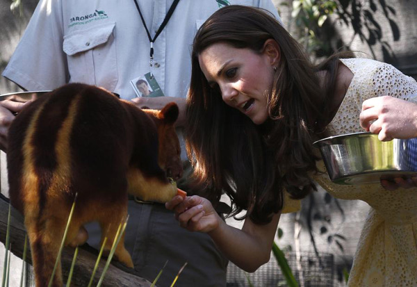 威廉凱特帶喬治小王子游悉尼野生動(dòng)物園