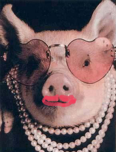 給豬涂口紅 lipstick on a pig